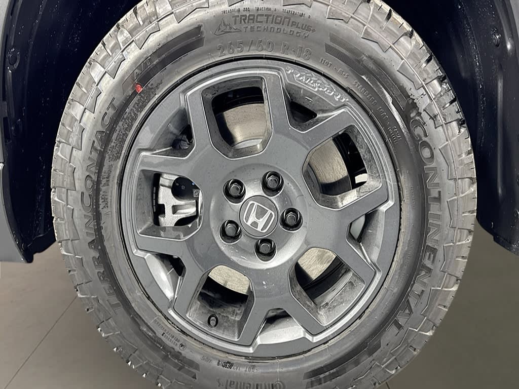 Thumbnail: 2026 Honda Pilot - 7