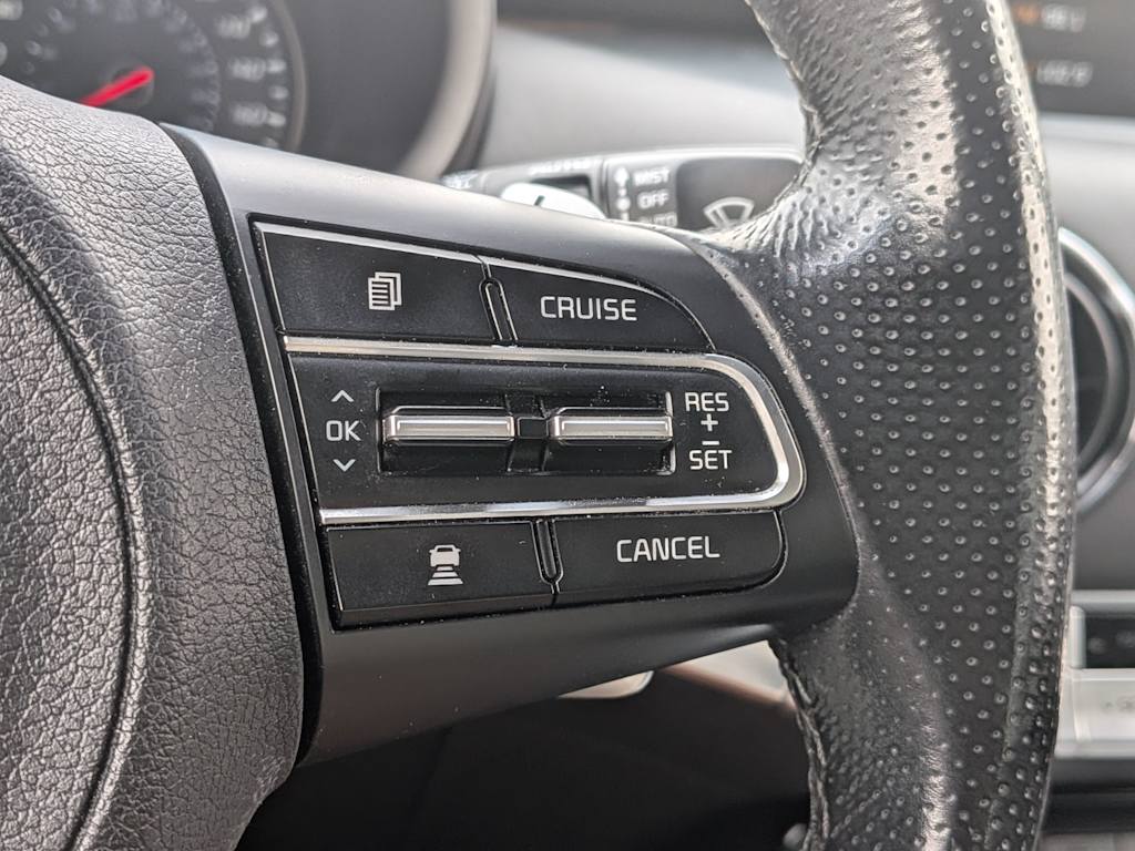 Thumbnail: 2019 Kia Stinger - 30