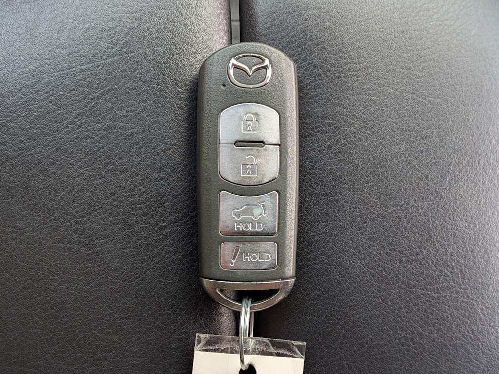 Thumbnail: 2016 Mazda CX-9 - 17