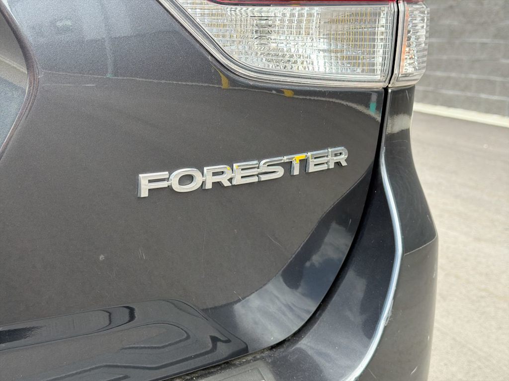 Thumbnail: 2019 Subaru Forester - 28