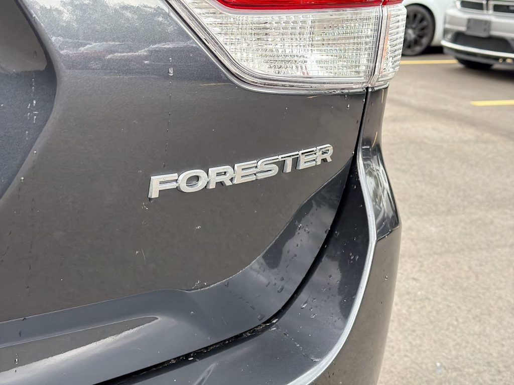 Thumbnail: 2019 Subaru Forester - 27