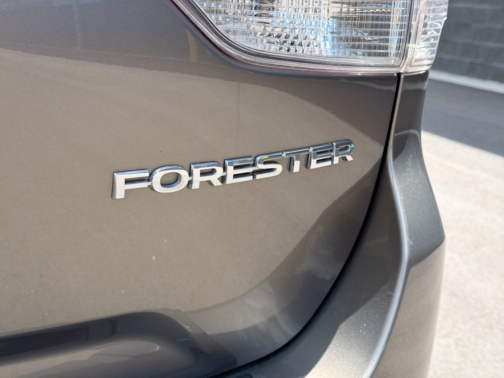 Thumbnail: 2020 Subaru Forester - 28