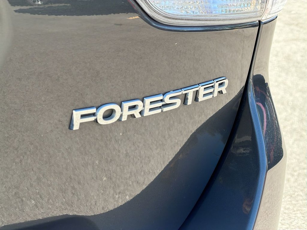 Thumbnail: 2020 Subaru Forester - 28
