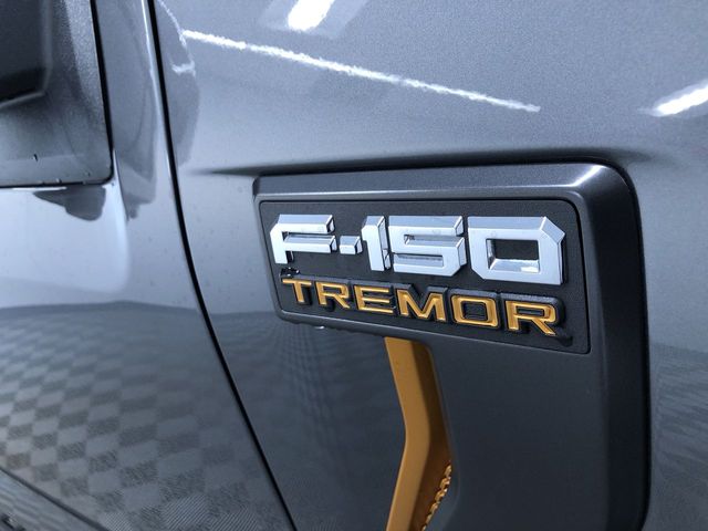 Thumbnail: 2025 Ford F-150 - 22