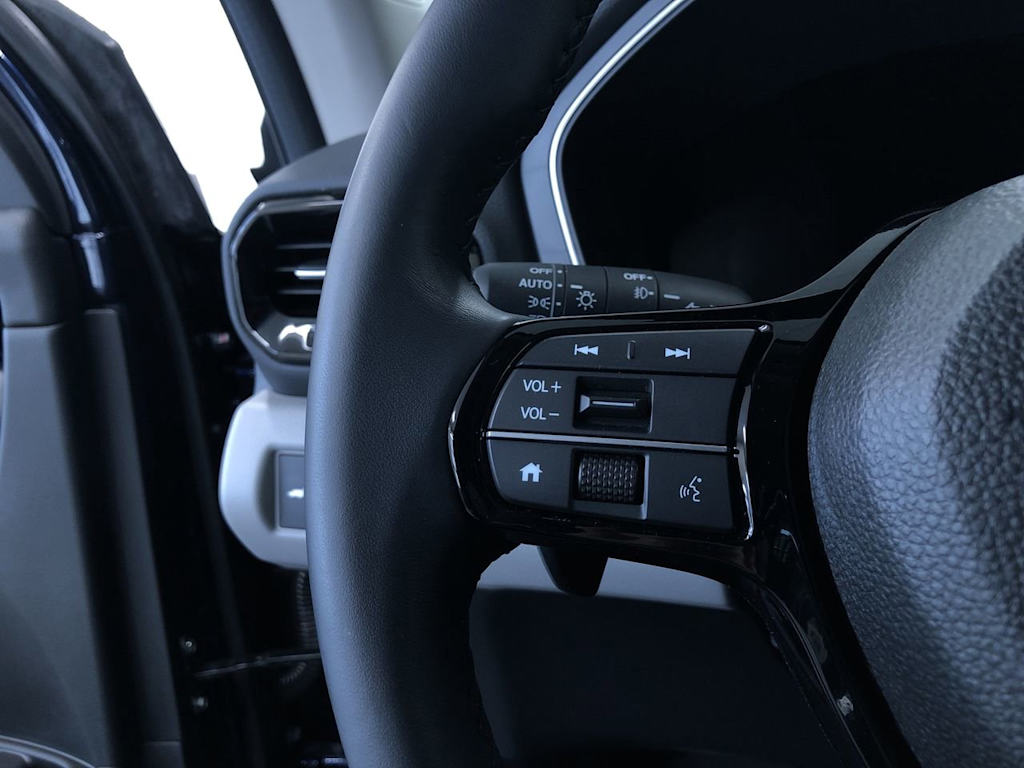 2025 Honda Pilot EX-L 31