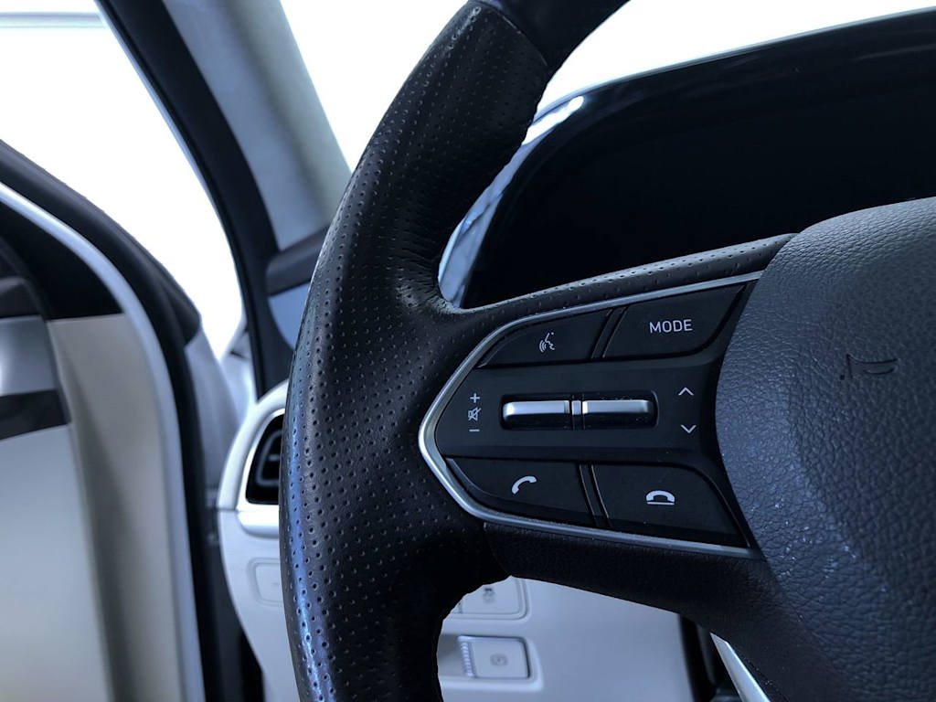 2021 Hyundai Palisade Calligraphy 30