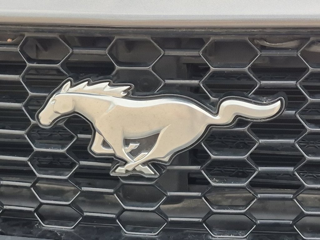 Thumbnail: 2024 Ford Mustang - 25