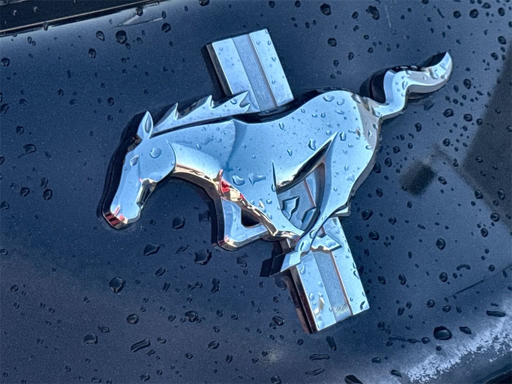 Thumbnail: 2015 Ford Mustang - 20