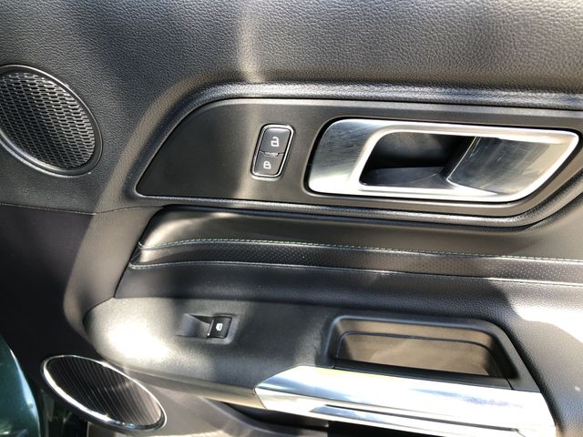Thumbnail: 2019 Ford Mustang - 38