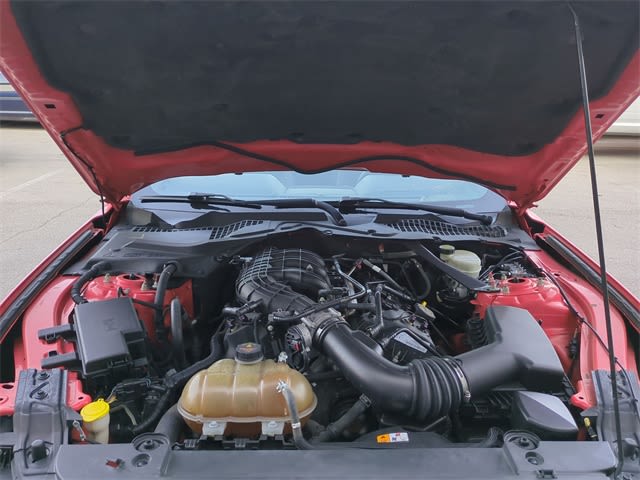 Thumbnail: 2015 Ford Mustang - 9