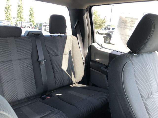 Thumbnail: 2019 Ford F-150 - 10