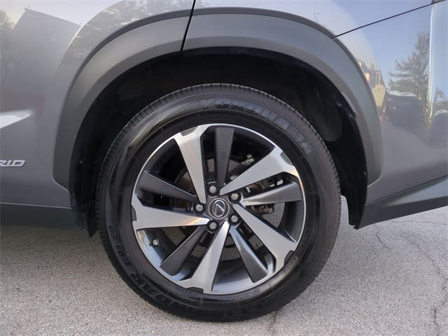 Image of 2020 Lexus NX 300h