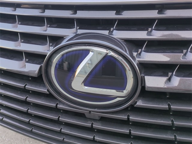 Image of 2020 Lexus NX 300h