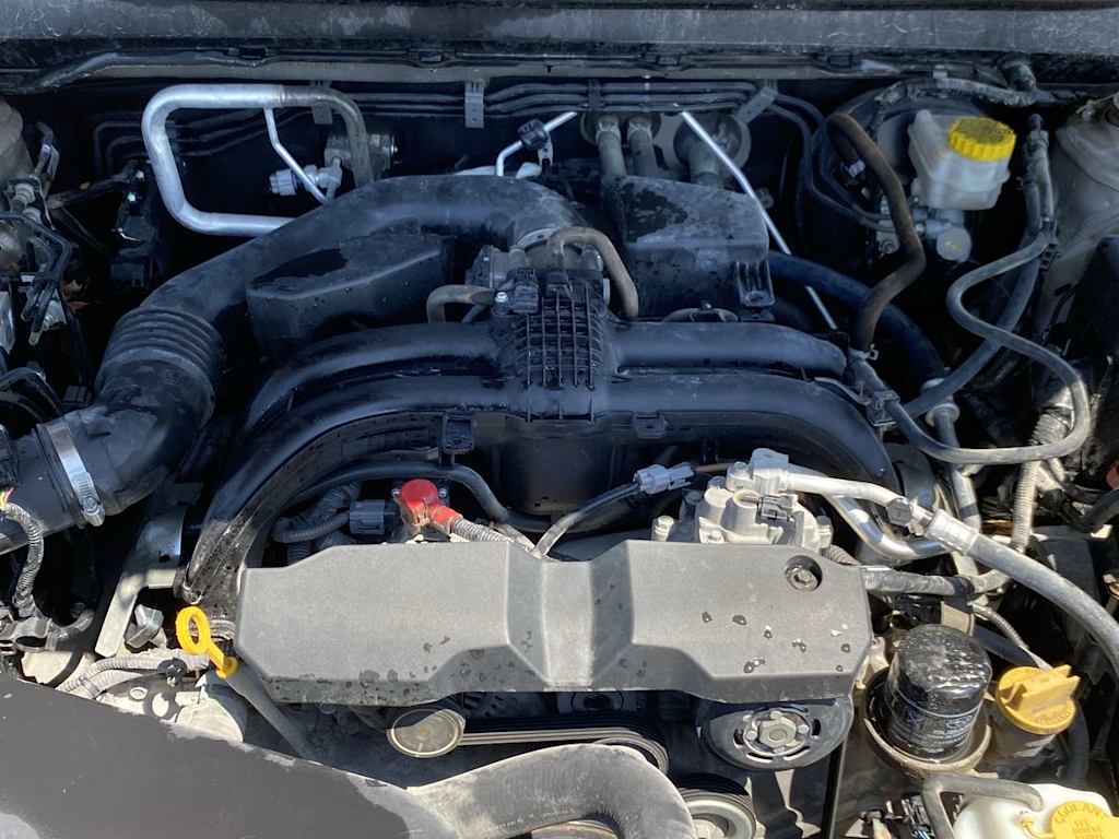 Thumbnail: 2019 Subaru Outback - 7