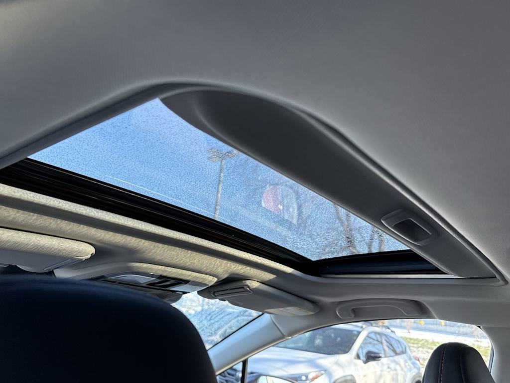 Thumbnail: 2025 Subaru Crosstrek - 24