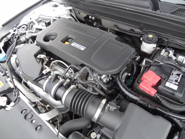 Thumbnail: 2019 Honda Accord - 48