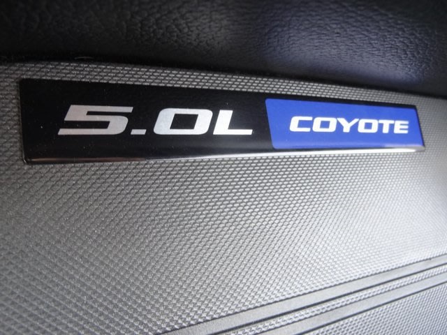 2013 Ford Mustang GT 15