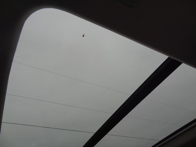 Thumbnail: 2023 Toyota Sequoia - 10