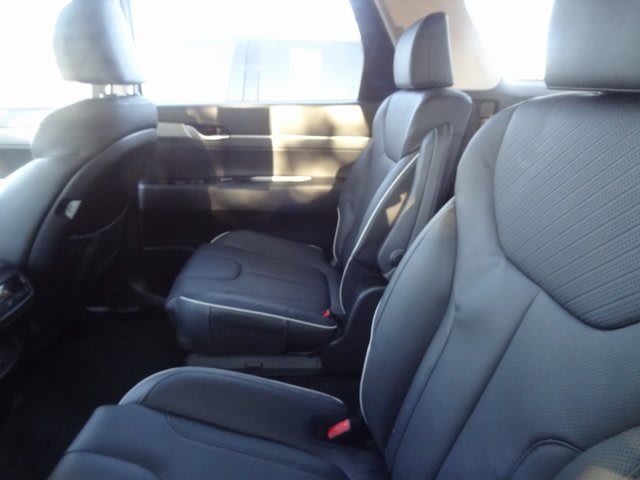 Thumbnail: 2023 Hyundai Palisade - 10