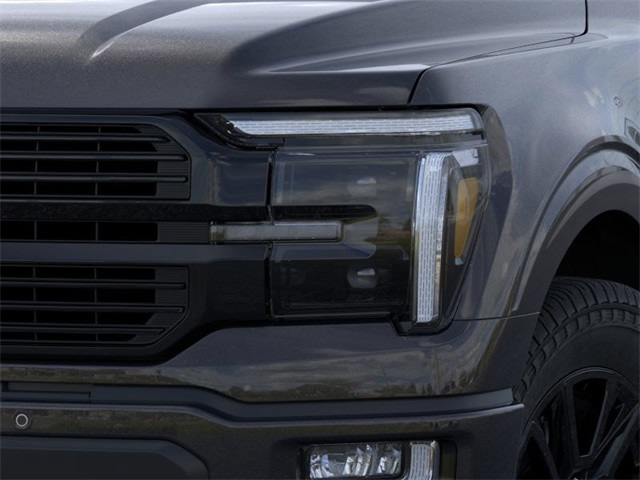 2025 Ford F-150 Platinum 19