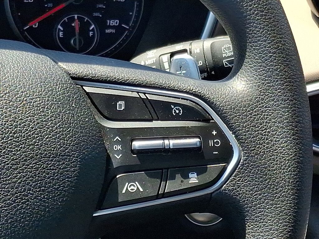 Thumbnail: 2022 Hyundai Santa Fe - 22