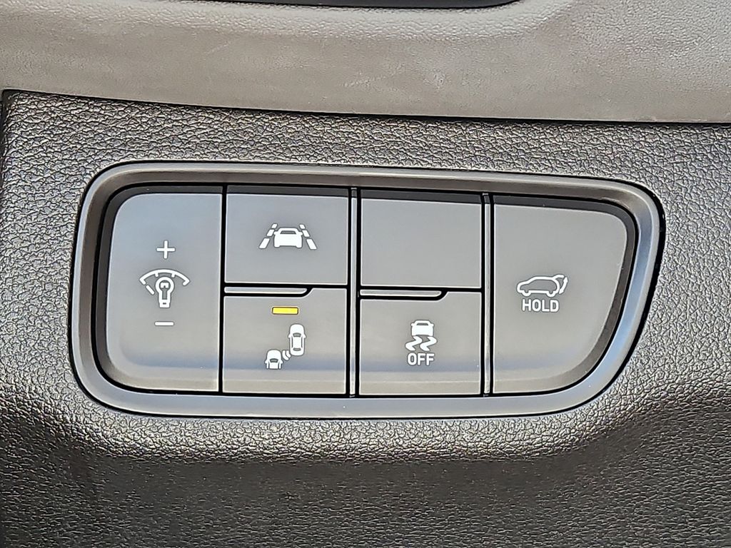 Thumbnail: 2019 Hyundai Santa Fe - 29