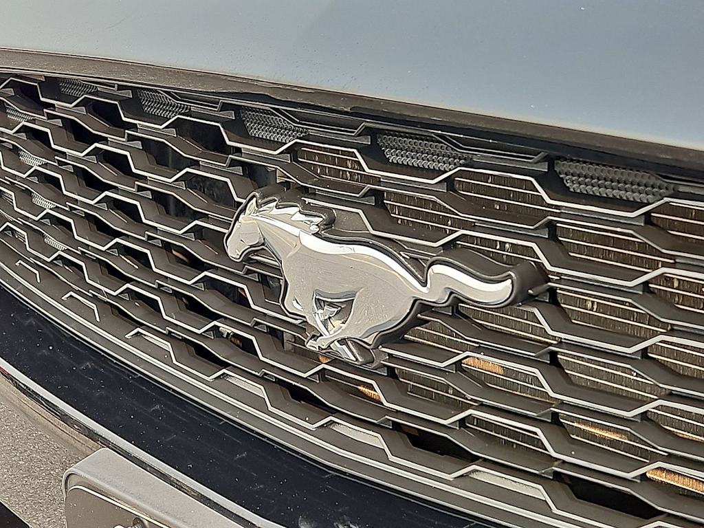 Thumbnail: 2015 Ford Mustang - 6