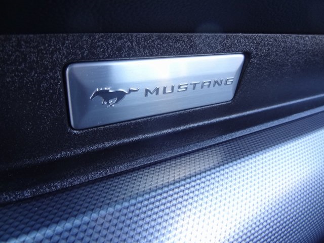 2021 Ford Mustang GT 7