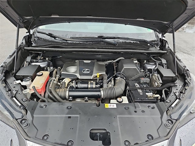 Image of 2019 Lexus NX 300