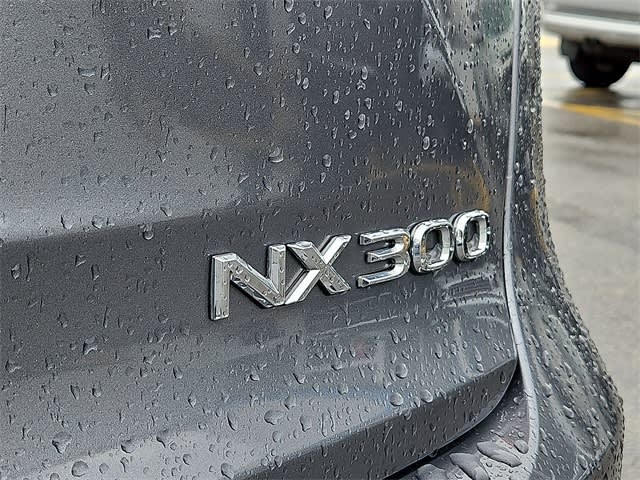 Image of 2019 Lexus NX 300
