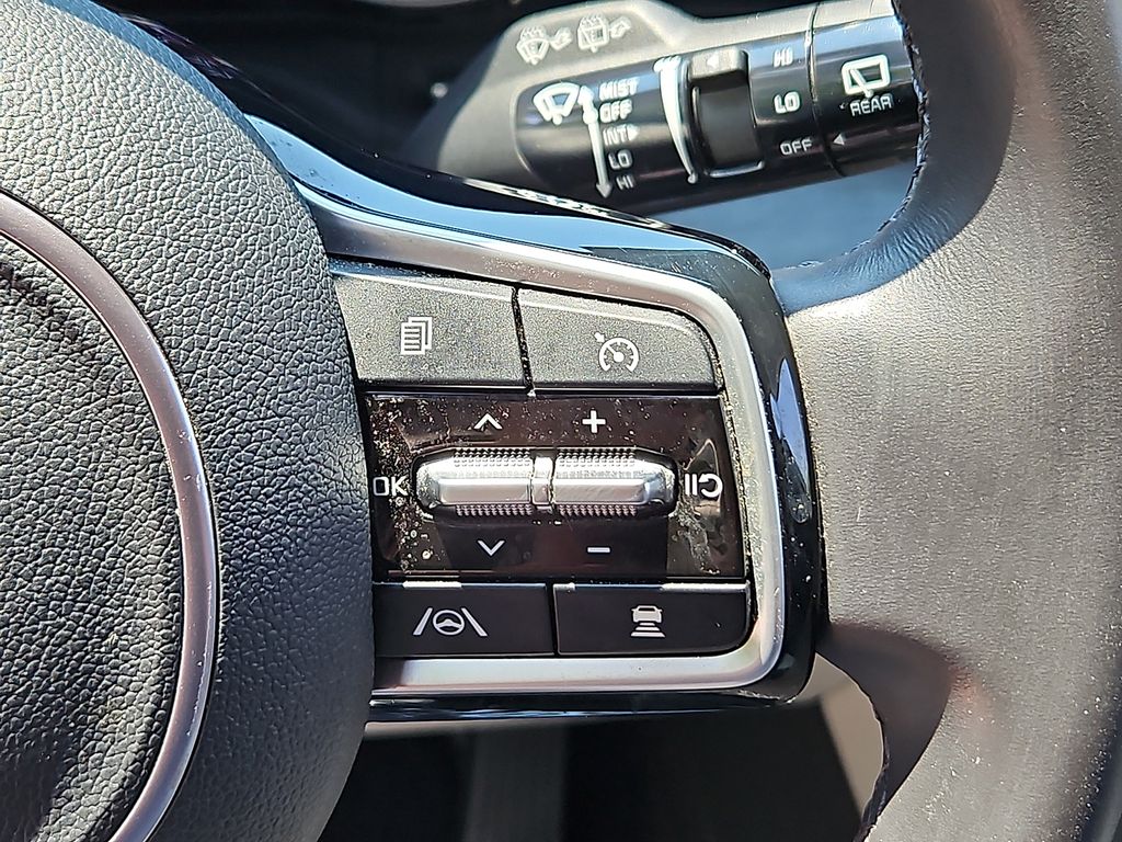 Thumbnail: 2024 Kia Carnival - 22