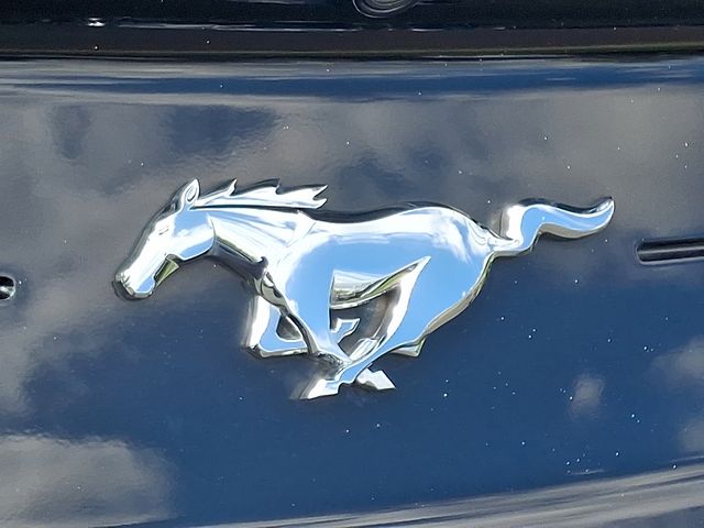Thumbnail: 2021 Ford Mustang - 7