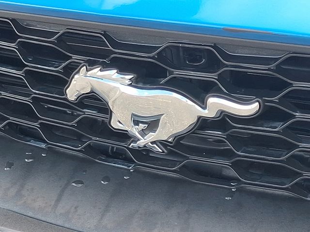 Thumbnail: 2021 Ford Mustang - 29