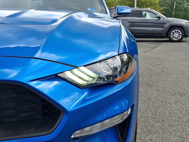 Thumbnail: 2021 Ford Mustang - 17