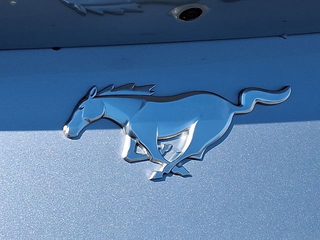 Thumbnail: 2024 Ford Mustang - 14