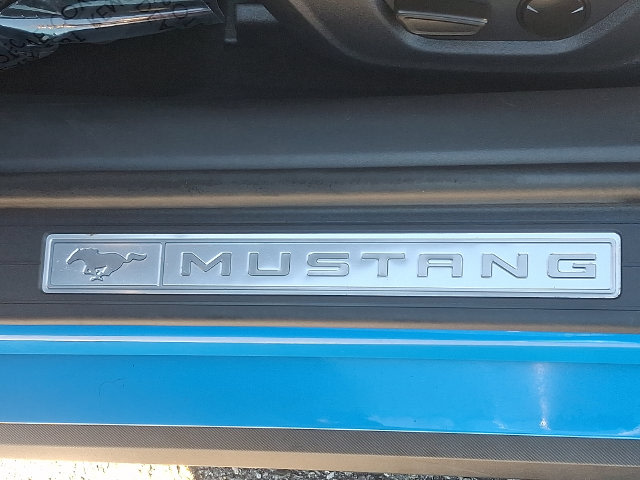 Thumbnail: 2024 Ford Mustang - 29