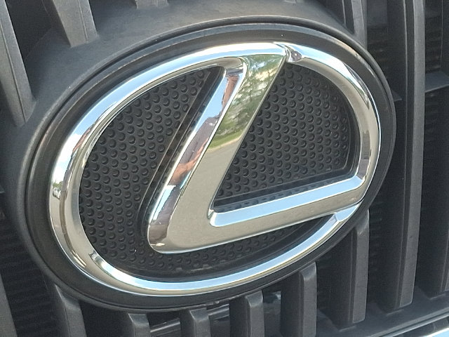 Thumbnail: 2010 Lexus RX - 10
