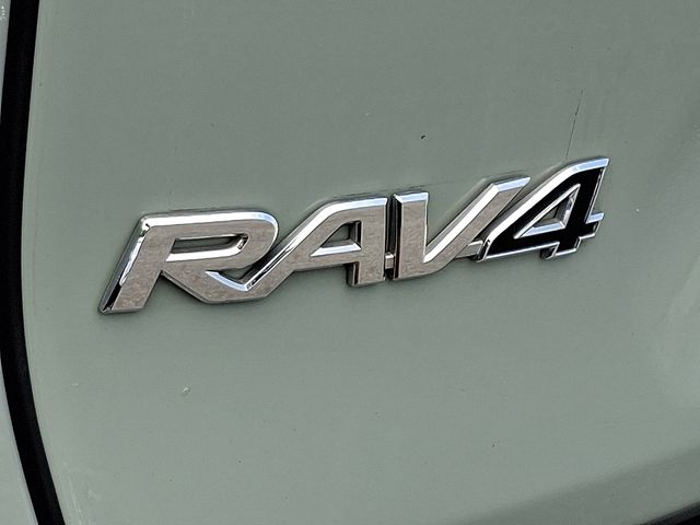 Thumbnail: 2019 Toyota RAV4 - 30