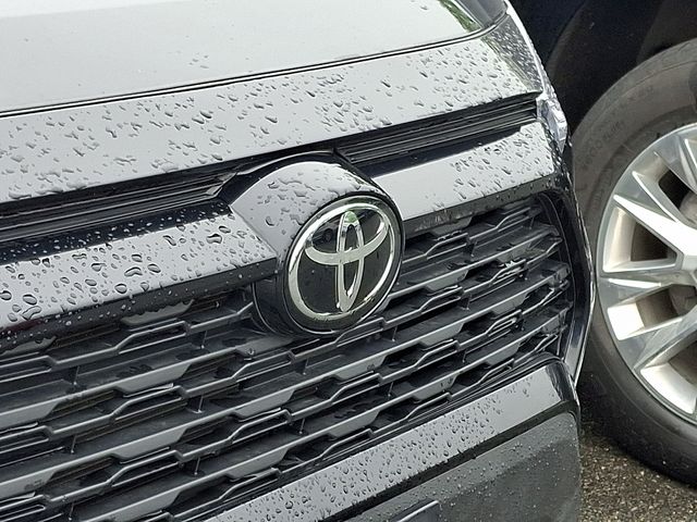 Thumbnail: 2024 Toyota RAV4 - 10