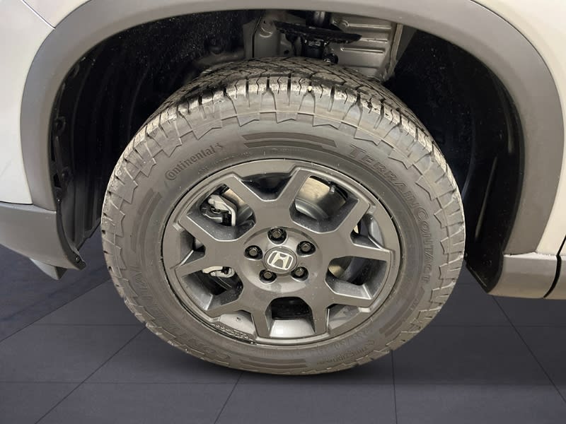 Thumbnail: 2025 Honda Pilot - 8