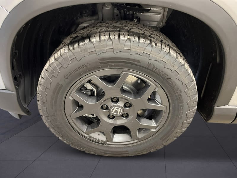 Thumbnail: 2025 Honda Pilot - 8