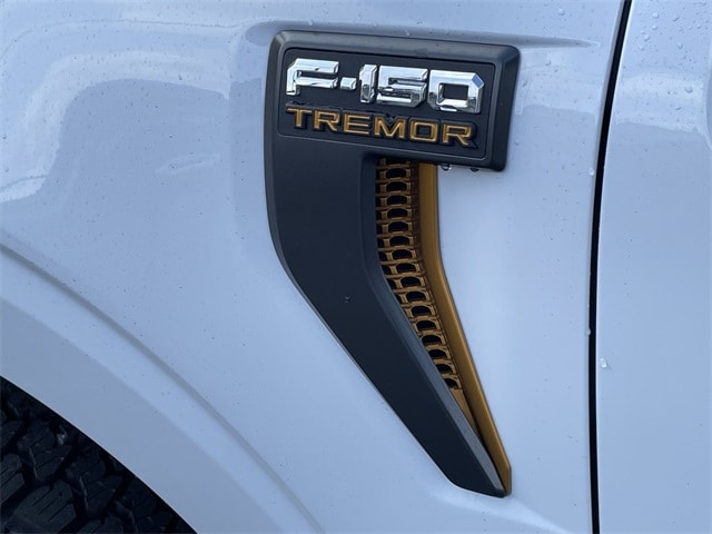 2024 Ford F-150 Tremor 6