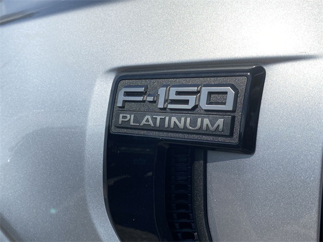 2024 Ford F-150 Platinum 14