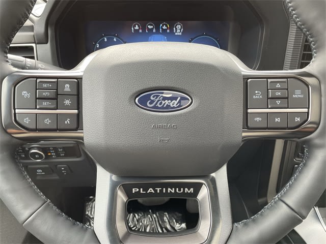 2024 Ford F-150 Platinum 23