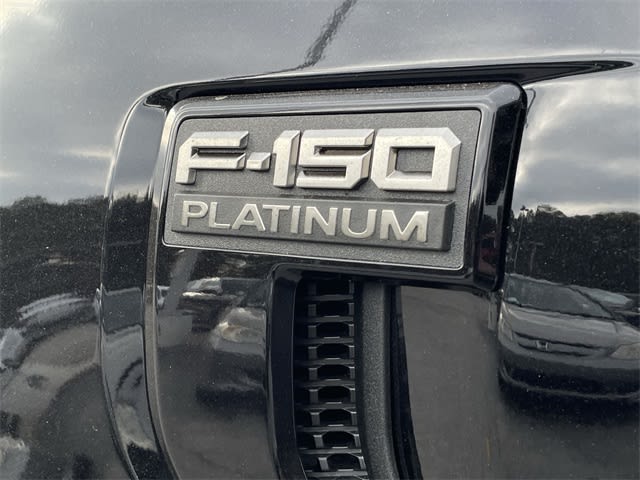 2024 Ford F-150 Platinum 16