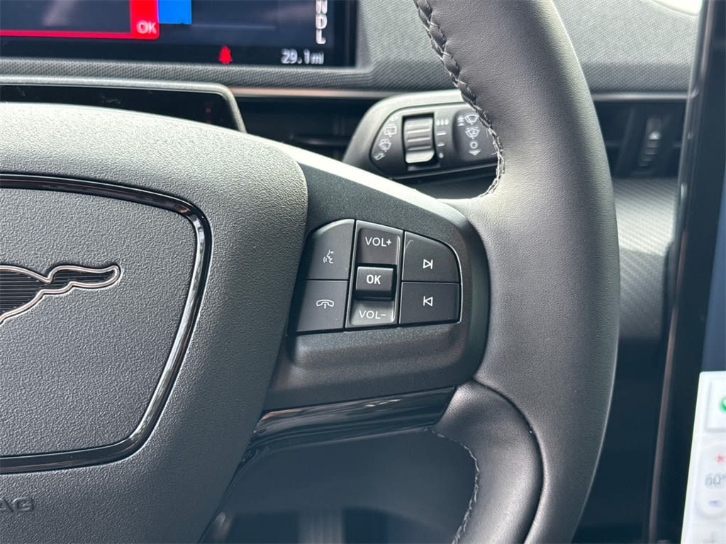 Thumbnail: 2024 Ford Mustang Mach-E - 28