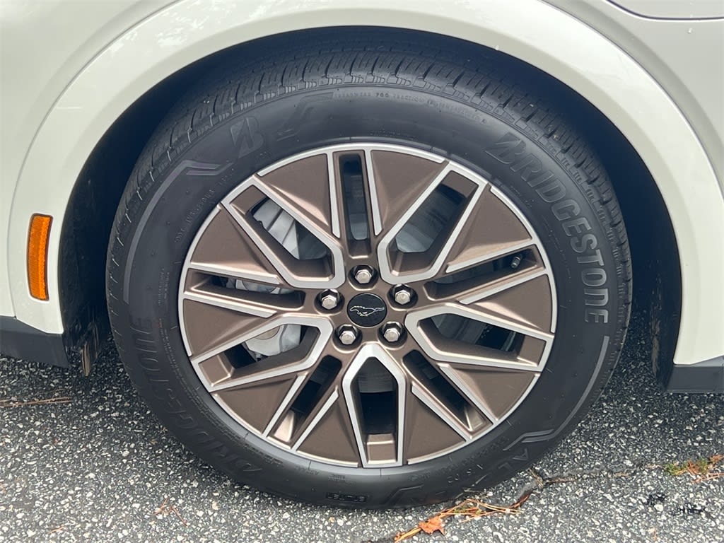 Thumbnail: 2025 Ford Mustang Mach-E - 6