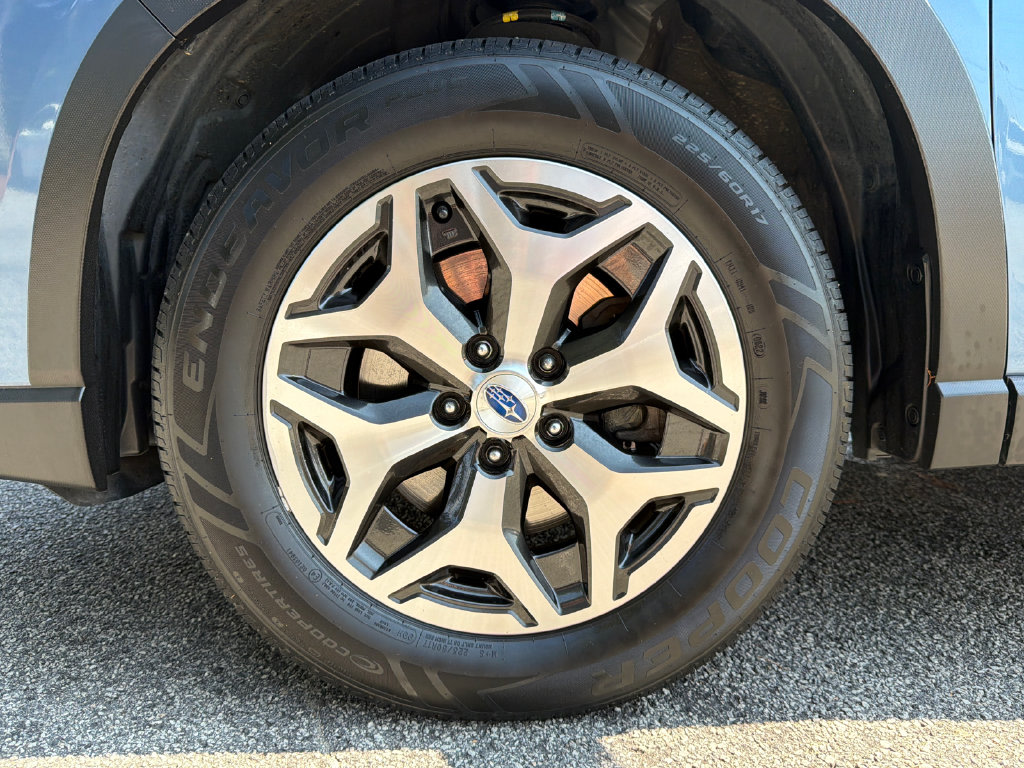 Thumbnail: 2019 Subaru Forester - 7