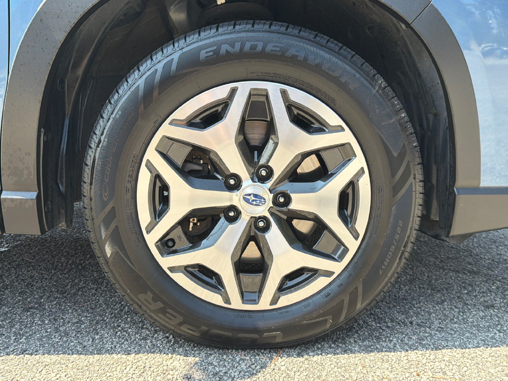 Thumbnail: 2019 Subaru Forester - 23