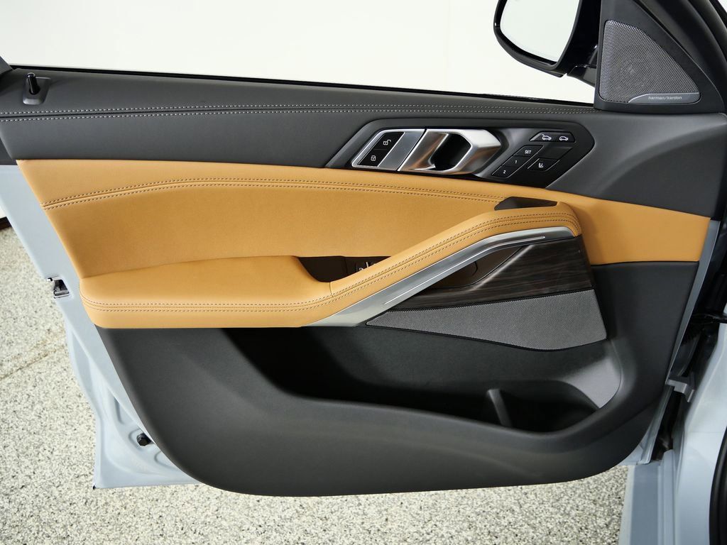 Thumbnail: 2026 BMW X6 - 39